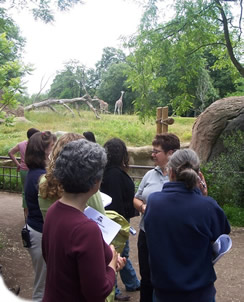 Picture of a Zoo